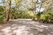 Rear view of sandy site 134 showing picnic table nestled under the shady live oak trees and maritime hammock in Anastasia State Park.