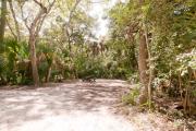 Frontal view of sandy site 135 showing picnic table with live oak trees nestled under shady maritime hammock in Anastasia State Park.