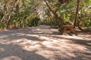 Rear view of sandy site 137 showing picnic table and electric and water hookups nestled under the shady live oak trees and maritime hammock in Anastasia State Park.