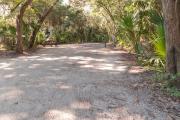 Frontal view of sandy site 137 showing picnic table and electric and water hookups with live oak trees nestled under shady maritime hammock in Anastasia State Park.