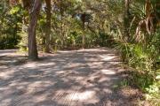 Frontal view of sandy site 138 showing picnic table with live oak trees nestled under shady maritime hammock in Anastasia State Park.