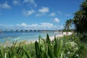Photo: BAHIA HONDA SP. Sunbathers on Calusa Beach with the new Bahia Honda Bridge in the background and spider lilies blooming in the foreground.