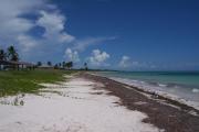 Photo: BAHIA HONDA SP. Sandspur beach with small waves rolling onto the shore and a pavilion and coconut palms in the background.