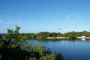 Photo: 002, View from cabin deck, overlooking boating basin with small spit of land and mangroves in the background.