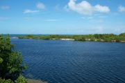 Photo: 003, View from cabin deck, overlooking boating basin with small spit of land and mangroves, open water in the background.
