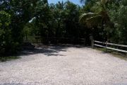 Photo: Buttonwood: Partially shaded gravel campsite with picnic table and grill, bordered by a wood fence and surrounded by bushes. Coconut palm leans into the site from the right.