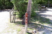 Photo: Buttonwood: Site number post with white numbers and arrows on a brown background, trunk of palm tree and bushes in background.