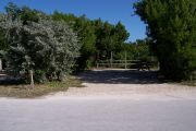 Photo: Buttonwood: Paved road with an unoccupied campsite on the far side, bushes and fences border site.