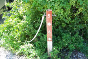 Photo: Buttonwood: Site number post with white numbers and arrows on a brown background, bushes and fence in background.