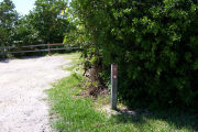 Photo: Buttonwood: Site number post with white number and arrow on a brown background, bushes and fence in background.