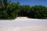 Photo: Buttonwood: Paved road with a campsite on the other side, bushes and fences border site.