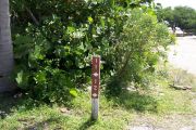 Photo: Buttonwood: Site number post with white numbers and arrows on a brown background, bushes in background.