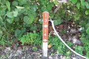 Photo: Buttonwood: Site number post with white numbers and arrows on a brown background, bushes in background.