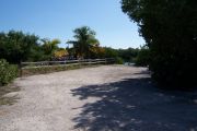 Photo: Buttonwood: Gravel campsite with picnic table, bordered by a wood fence on left and surrounded by bushes.