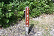 Photo: Buttonwood: Site number post with white numbers and arrows on a brown background, bushes in background.