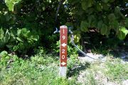 Photo: Buttonwood: Site number post with white numbers and arrows on a brown background, bushes in background.