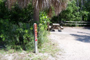 Photo: Buttonwood: Site number post with white numbers and arrows on a brown background, bushes, picnic table and wood fence in background.
