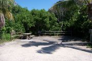 Photo: Buttonwood: Partially shaded gravel campsite with picnic table and grill, bordered by a wood fence and surrounded by bushes and palms.