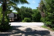 Photo: Buttonwood: Paved road with a campsite on the other side, large motor home on site, bushes border site.