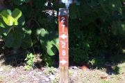 Photo: Buttonwood: Campsite numbers displayed on a post with seagrape leaves in the background.