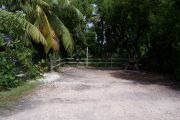 Photo: Buttonwood: Partially shaded gravel campsite with picnic table and grill, bordered by a wood fence and surrounded by bushes and palms.