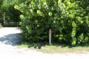 Photo: Buttonwood: Site number post with white number and arrow on a brown background, bushes in background.