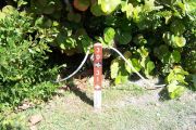 Photo: Buttonwood: Site number post with white numbers and arrows on a brown background, bushes in background.
