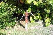 Photo: Buttonwood: Site number post with white numbers and arrows on a brown background, bushes in background.