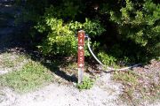 Photo: Buttonwood: Site number post with white numbers and arrows on a brown background, bushes in background