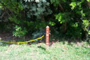 Photo: Buttonwood: Site number post with white numbers and arrows on a brown background, bushes in background