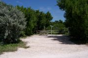 Photo: Buttonwood: Partially shaded gravel campsite with picnic table and grill, backed by a wood fence and surrounded by bushes.