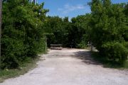Photo: Buttonwood: Partially shaded gravel campsite with picnic table and grill, bordered by a wood fence and surrounded by bushes.