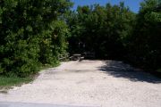 Photo: Buttonwood: Partially shaded gravel campsite with picnic table and grill, bordered by a wood fence and surrounded by bushes.