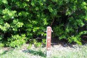 Photo: Buttonwood: Site number post with white numbers and arrows on a brown background, bushes in background