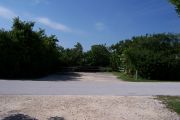Photo: Buttonwood: Paved road with an empty site in background and bushes around site