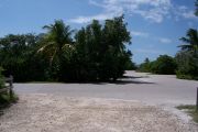Photo: Buttonwood: Paved road with a campsite on the other side, bushes partially hide site across road