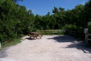 Photo: Buttonwood: Partially shaded gravel campsite with picnic table and grill, bordered by a wood fence and surrounded by bushes.