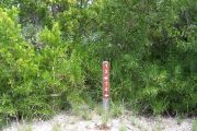 Photo: 073, BAYSIDE: Site number post with white numbers and arrows on a brown background, bushes in background.