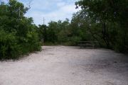 Photo: 073, BAYSIDE: Small, sunny, gravel campsite with picnic table surrounded by trees..