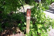 Photo: 076, BAYSIDE: Site number post with white number and arrow on a brown background, bushes in background.