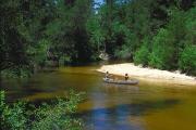 A family canoeing down the Blackwater River, with brilliant white sandy beaches and lush green forest in the background.