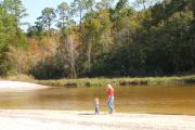 A small child leads their mother on a white sandy beach along the tea colored water of the Blackwater River.