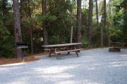 View of a fire ring and picnic table in shady area.