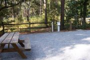 View from the rear of the campsite looking toward the forest.