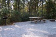 View of a picnic table and fire ring in partial shade.