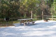 View of a picnic table, fire ring, and clothesline poles in shade.