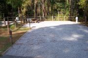 A view of the campsite with a shell/sand base and partial shade.