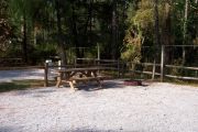 View of a picnic table, fire ring and fence in partial shade.