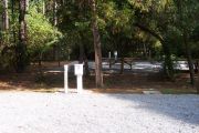 View from the rear of the campsite looking toward hookups.