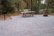 View of campsite picnic table and fire ring.
